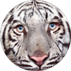 Profile photo of Vyetta Carroll