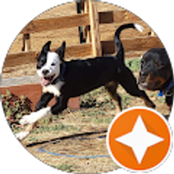 Profile photo of ryane dobkins