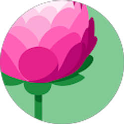 Profile photo of Eli Zaid