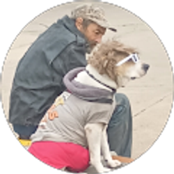 Profile photo of Lilian Collevatti