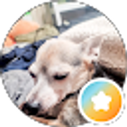 Profile photo of Steven