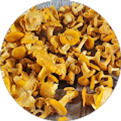 Profile photo of Dominique Holz