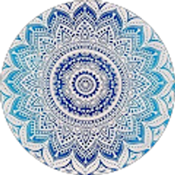 Profile photo of abby churulo