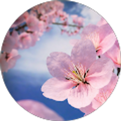 Profile photo of L. Marie