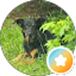 Profile photo of Cheyanne Pike