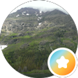 Profile photo of connie dauch