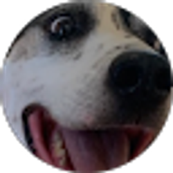Profile photo of SD Big Daddy