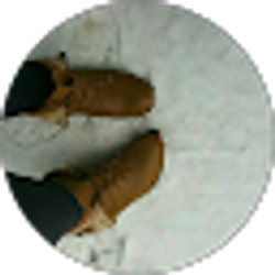 Profile photo of D. Jewell
