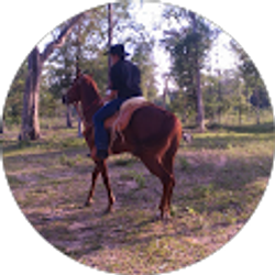 Profile photo of Javier Toledo
