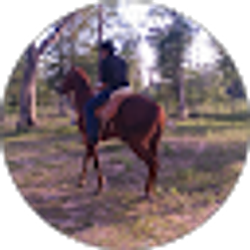 Profile photo of Javier Toledo