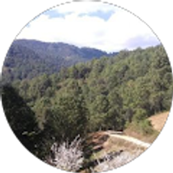 Profile photo of heriberto antonio santiago