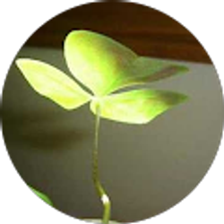 Profile photo of MCVALKRIE