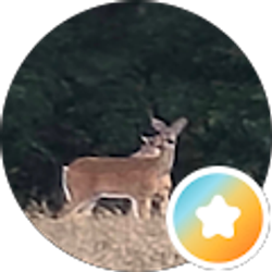 Profile photo of Caleb Grubb