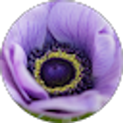 Profile photo of Catherine Grace