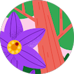 Profile photo of Shayla C