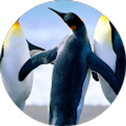 Profile photo of Stanley Bolton