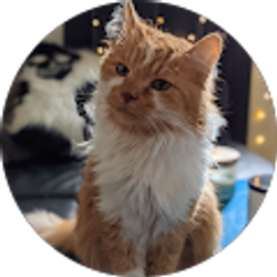 Profile photo of Alex B