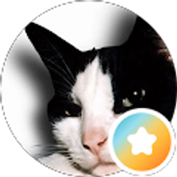 Profile photo of Celeste Berner