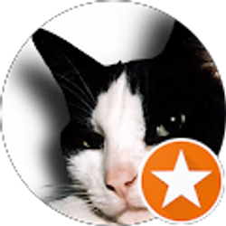 Profile photo of Celeste Berner