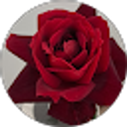 Profile photo of Susan Ritchie