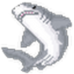 Profile photo of Shark