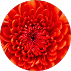 Profile photo of Melanie Range