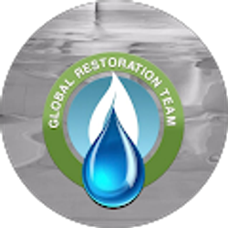 Profile photo of global restoration