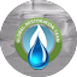 Profile photo of global restoration