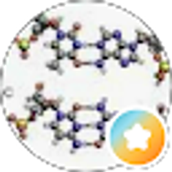 Profile photo of dNa