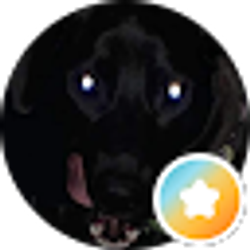 Profile photo of Matt Hensley