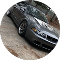 Profile photo of brent skipper