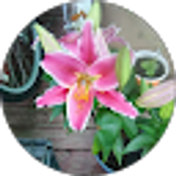 Profile photo of Rebecca Head