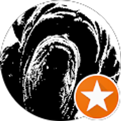 Profile photo of Branden Jblonsk