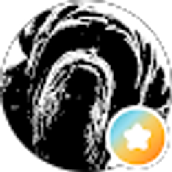 Profile photo of Branden Jblonsk