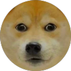 Profile photo of Alex LaFrance