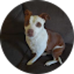 Profile photo of Shannon Greenwood