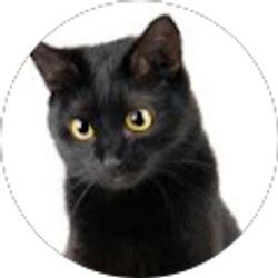 Profile photo of Evan Tsai