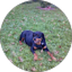 Profile photo of Jackie Torongeau