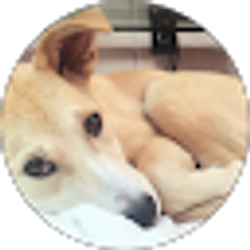 Profile photo of Sarah Ross