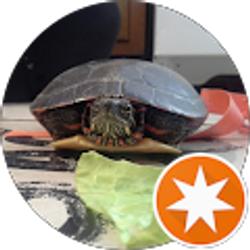 Profile photo of Timothy Sutton