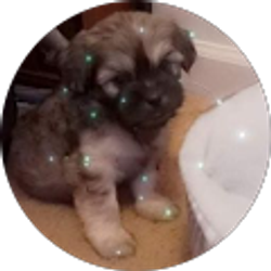 Profile photo of Stephanie Burnett