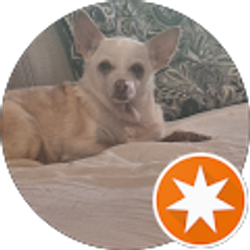 Profile photo of Richard Ballenger