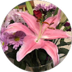 Profile photo of D W (Deej)