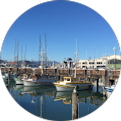 Profile photo of Z Z