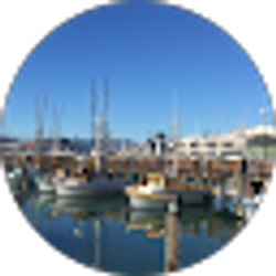 Profile photo of Z Z