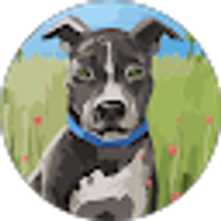 Profile photo of KC L