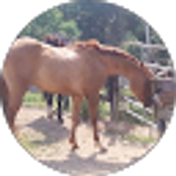 Profile photo of J B