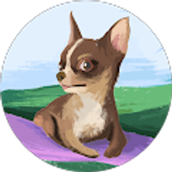 Profile photo of steven zambaras