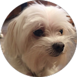 Profile photo of Kecia Vekovius