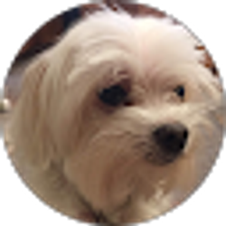 Profile photo of Kecia Vekovius
